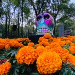 CWP4PZCX4RH2PVEBYLIYPDDBSM