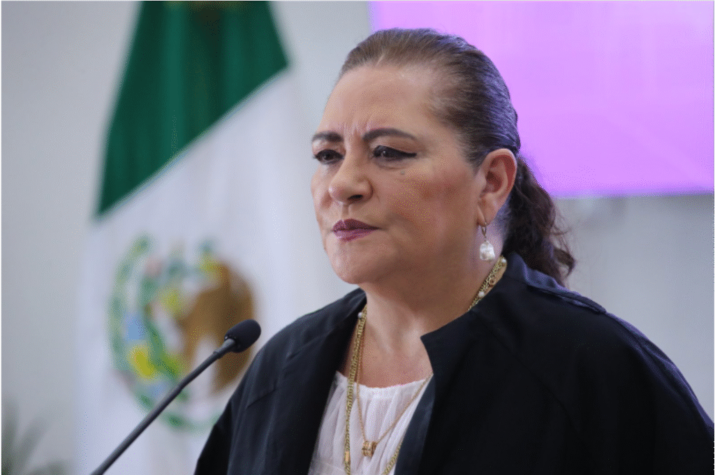 Taddei defiende papel de los Oples y llama a reflexionar sobre costo de la democracia en reforma electoral