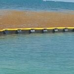 Beach-Trotters-Barreras-Mursargaz_2023-07_2