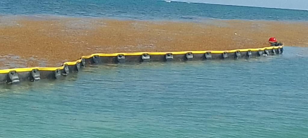 Beach-Trotters-Barreras-Mursargaz_2023-07_2